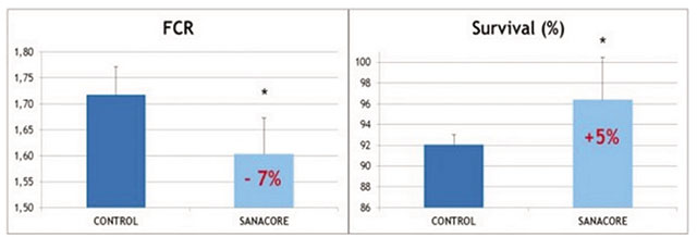 Hình 2. Ảnh hưởng của chất kích thích sức khỏe đường ruột lên FCR và tỷ lệ sống của cá thí nghiệm